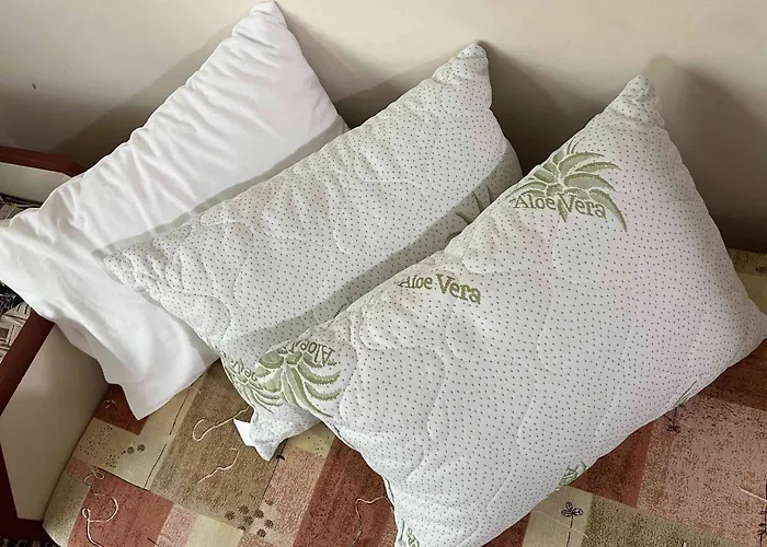 Laguna 3 минуты до моря 帕莫瑞